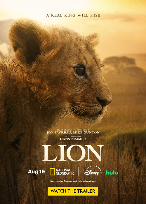 A close-up of a lion's face with a grassy background and a movie poster overlay.