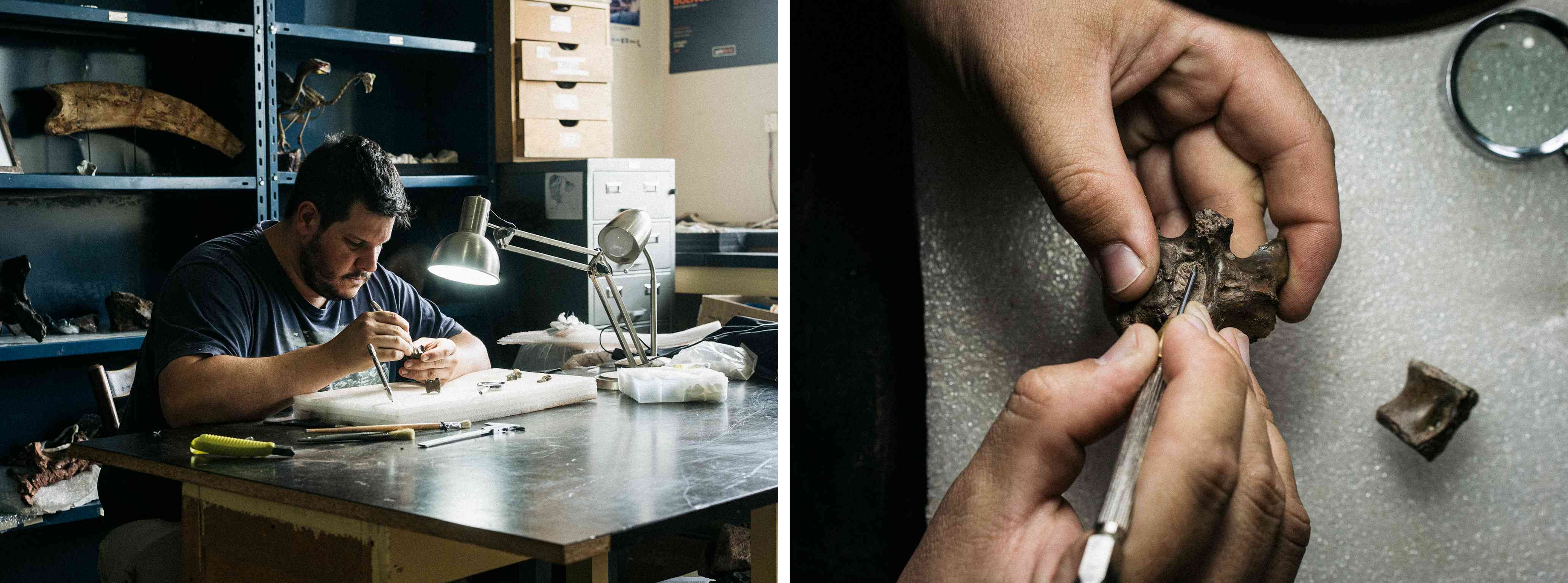 A man meticulously working on a small fossil at a cluttered desk in a dimly lit lab, surrounded by tools and fossils (Right) A close-up of hands holding a small fossil, carefully examining it with a precision tool