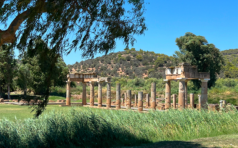 Ancient stone columns stand in an overgrown area, surrounded by grass and trees, beneath a bright blue sky.