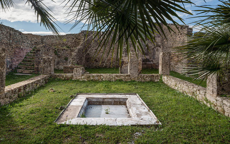 Ancient stone ruins in Pompeii featuring a central rectangular marble basin surrounded by grass, stone walls, and palm fronds against a blue sky.
