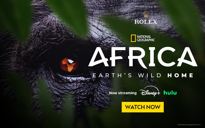 AFRICA: Earth Wild Home  - Now Streaming on Disney+
