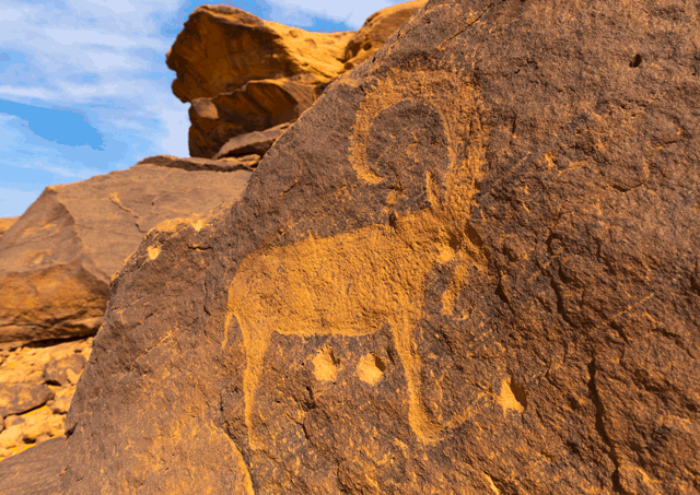 Ancient rock carvings etched into a sandstone cliff depict people, animals, and geometric symbols in a densely packed prehistoric scene.