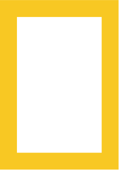 A solid black square with a yellow border.