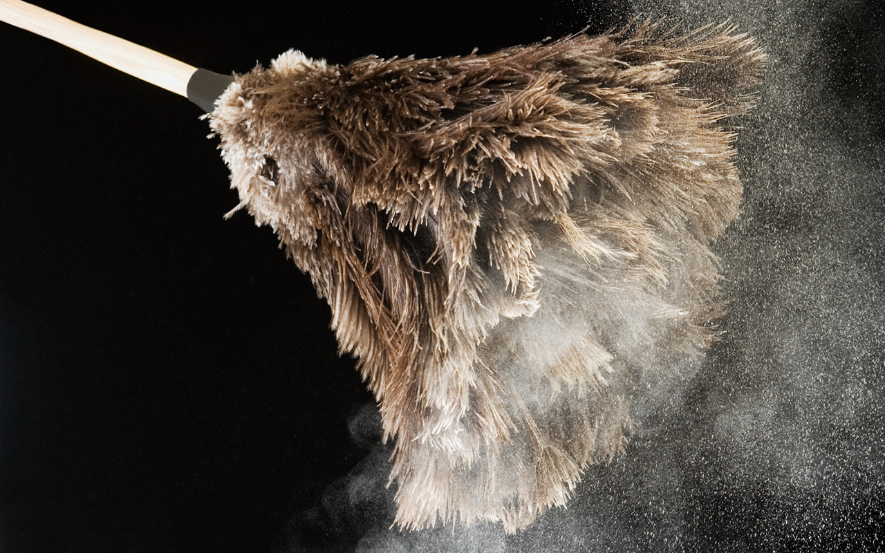 Lots of particles come off of a feather duster 
