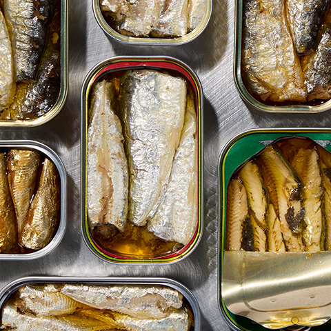 cans of tinned fish
