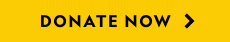 A yellow banner with black text reading 'DONATE NOW' and a right-pointing arrow.