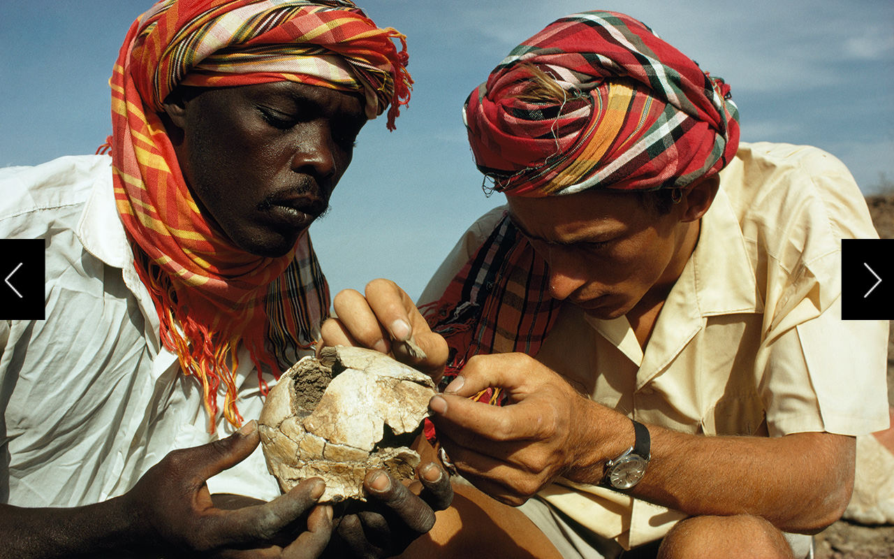 Tantalizing puzzle absorbs the author and Nzube Mutwiwa, who piece together the shattered cranium of what Richard Leakey believes may be a form of early man. Though face and jaws are missing, the curvature and volume of the cranium will provide evidence for eventual reconstruction of the skull.  