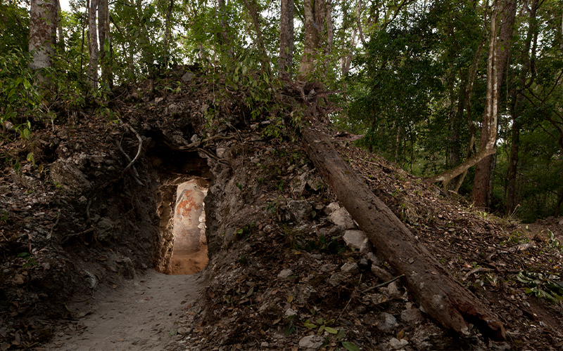 A narrow cave entrance in a dense forest, surrounded by lush greenery and fallen leaves. Light partially illuminates the tunnel interior, revealing a Maya mural painted on the wall.